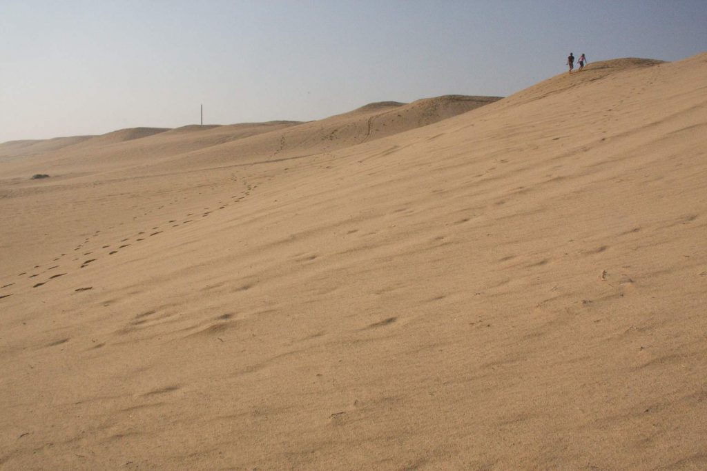 Pobřežní duny